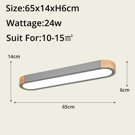 Ceiling Light Slim Profile Modern Design