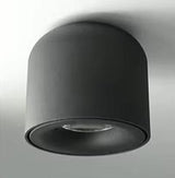 Pendant Light Aluminum Body Painted Finish