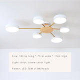 Luminax Chandelier - LED Illumination Detail