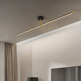 Acrylic Ceiling Light Black Finish Option
