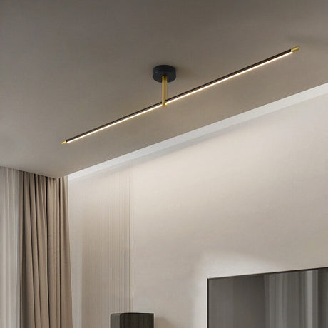 Acrylic Ceiling Light Black Finish Option