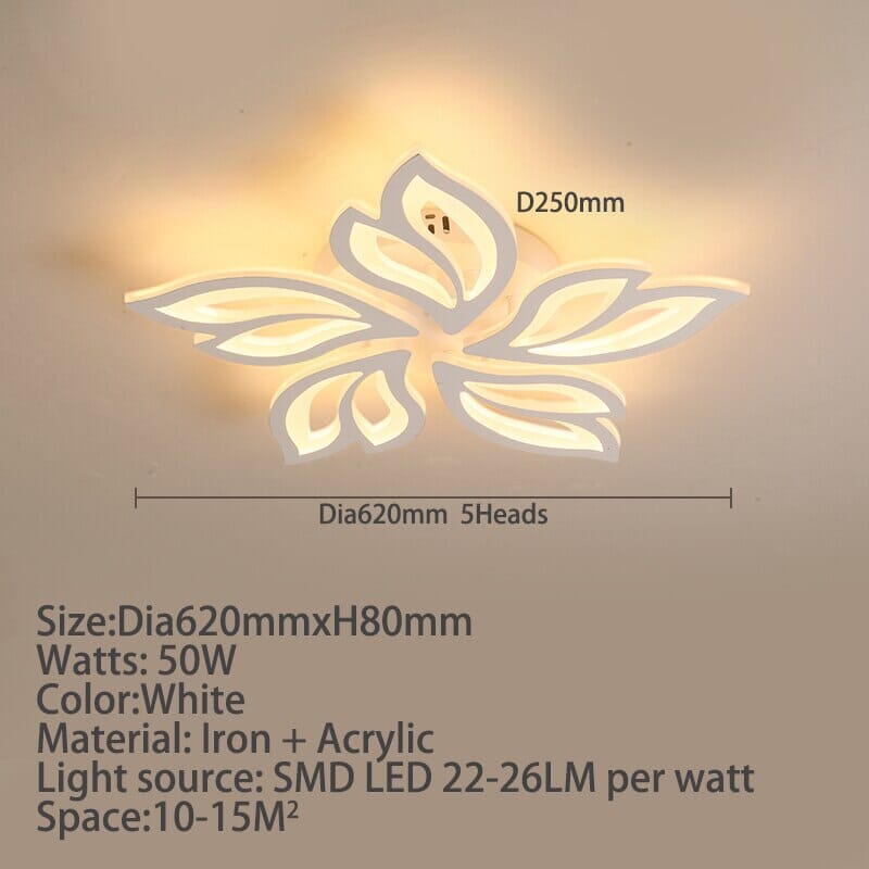 Ceiling Lamp Close-Up View