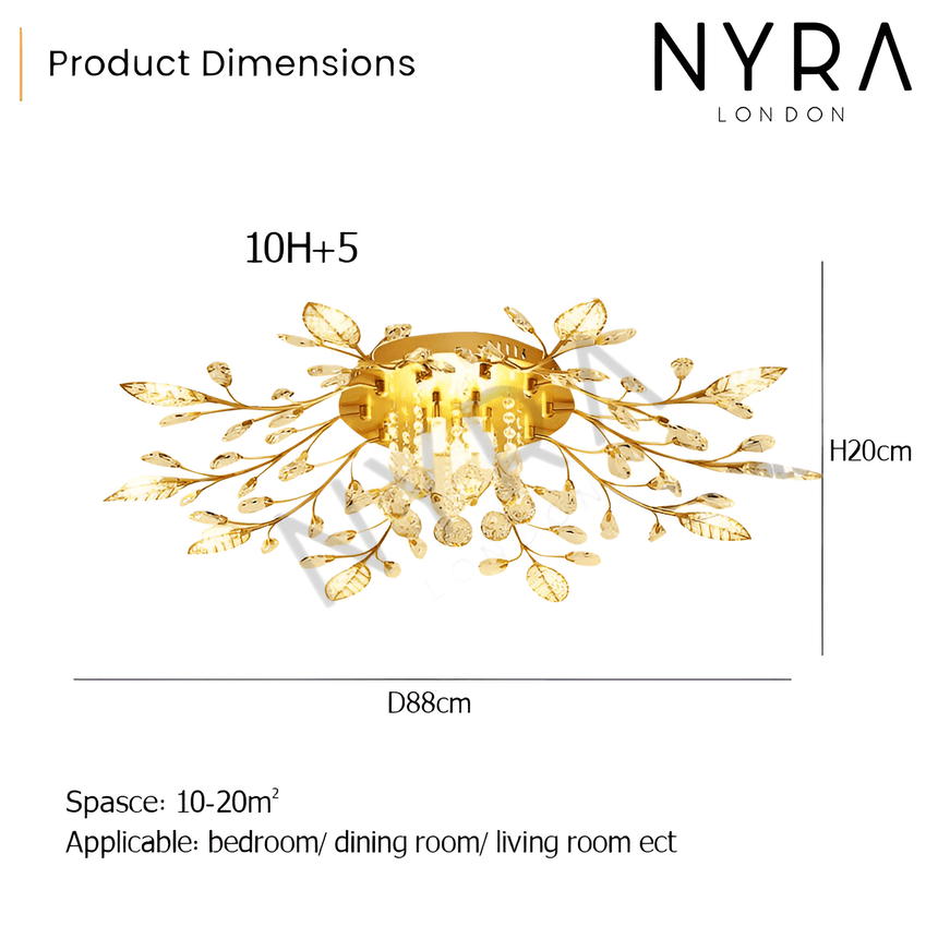 refined focal point ceiling light fixture