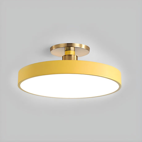 Ceiling Light for Dining Room Ambient Lighting