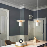 Metal Pendant Light Efficient LED Lighting - OroDwell