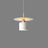 Pendant Light In Metal Finish - OroDwell