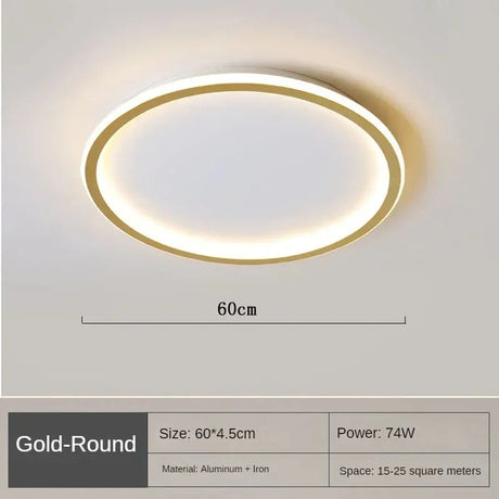 Dimmable Ceiling Light for Bedroom