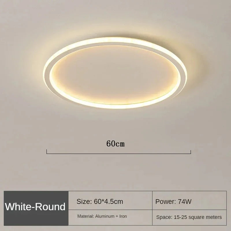 Aluminum and Acrylic Ceiling Light Detail