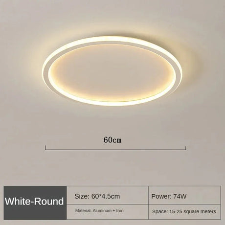 Aluminum and Acrylic Ceiling Light Detail