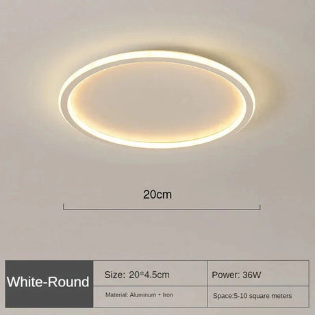 Scandinavian Ceiling Light Front View