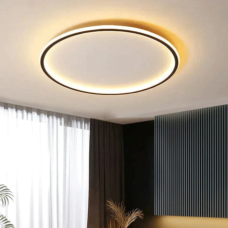 Nordic Ceiling Light for Hallway