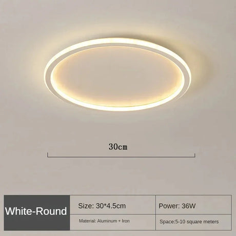 Nordic LED Ceiling Light Black Finish Detail
