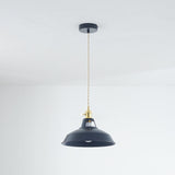 Lyrae Colorful Pendant Light Full View