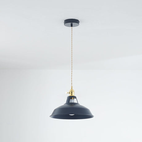 Lyrae Colorful Pendant Light Full View