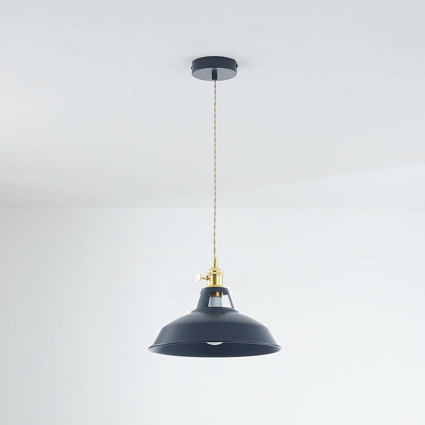 Lyrae Colorful Pendant Light Full View