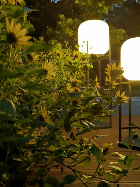LumaSpry Outdoor Solar Lamp Stainless Steel and Glass - OpalDwell