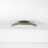 NylaGlow Adjustable Ceiling Light dimmable remote control - OpalDwell