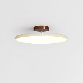 NylaGlow Adjustable Ceiling Light contemporary home style - OpalDwell