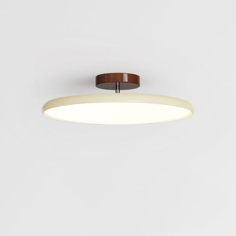NylaGlow Adjustable Ceiling Light contemporary home style - OpalDwell