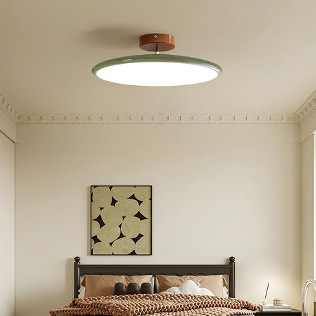 NylaGlow Adjustable Ceiling Light packaging and components - OpalDwell