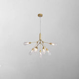 Chandelier for Modern Home Decor