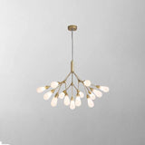 Chandelier for Elegant Living Spaces