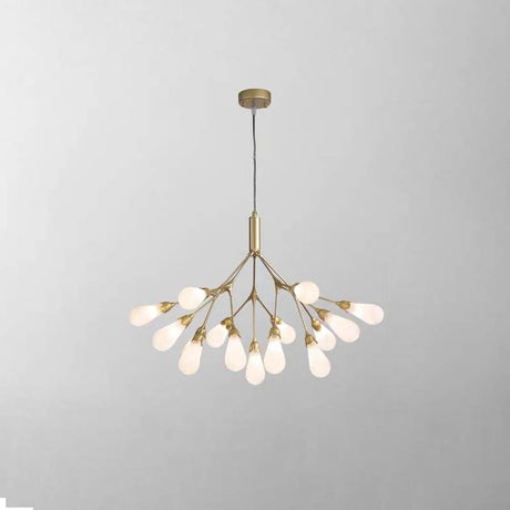 Chandelier for Elegant Living Spaces