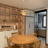 Timeless Pendant Lamp for Contemporary Decor