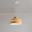 VerdantGlow Hanging Lamp Full Fixture Front View - OpalDwell