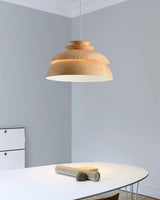 Aluminum Pendant Light Natural Elements Design Accent - OpalDwell