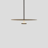 Arc Pendant Light for Modern Homes OpalDwell