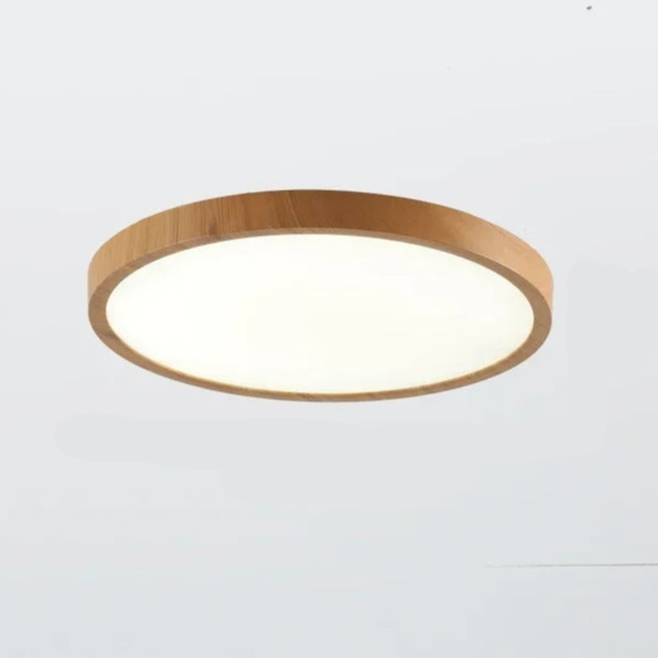 AstraHalo Circular Ceiling Light Additional Angle