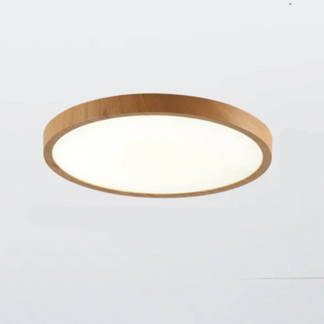 AstraHalo Circular Ceiling Light Additional Angle