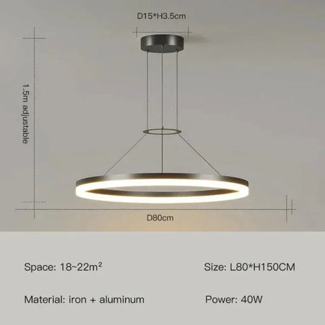 Pendant Light Sleek Contemporary Design