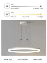 Pendant Light for Living Room Accent Decor
