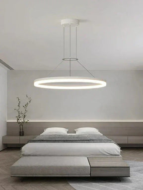 Metal hanging lamp for living room and hallway decor