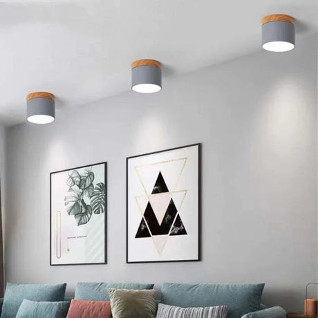 Cylindra Ceiling Light Additional View - OroDwell