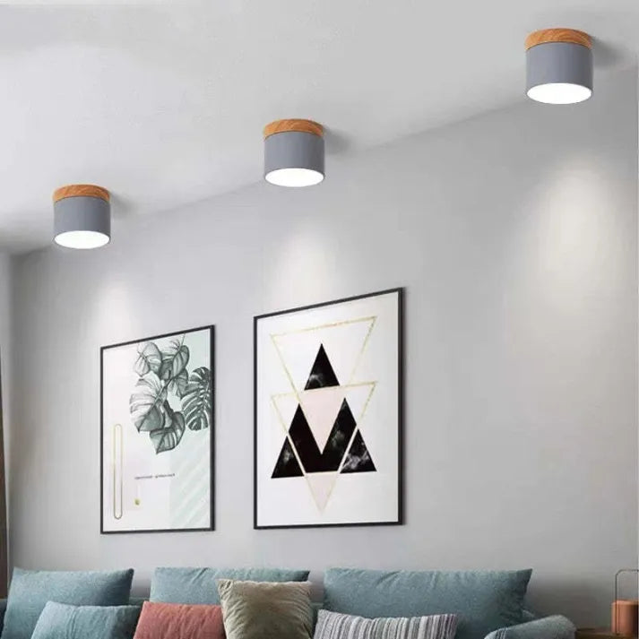 Cylindra Ceiling Light Additional View - OroDwell