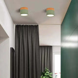 Aluminum Ceiling Light Shade Close-Up - OroDwell