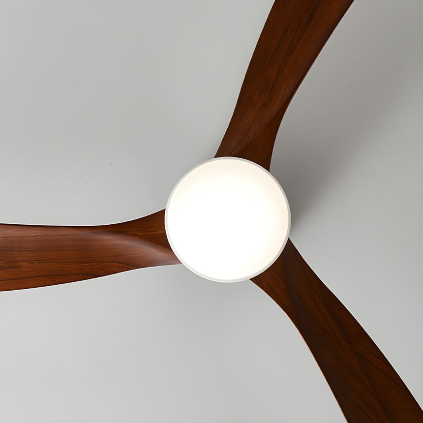 Nordic Ceiling Fan for Home Decor