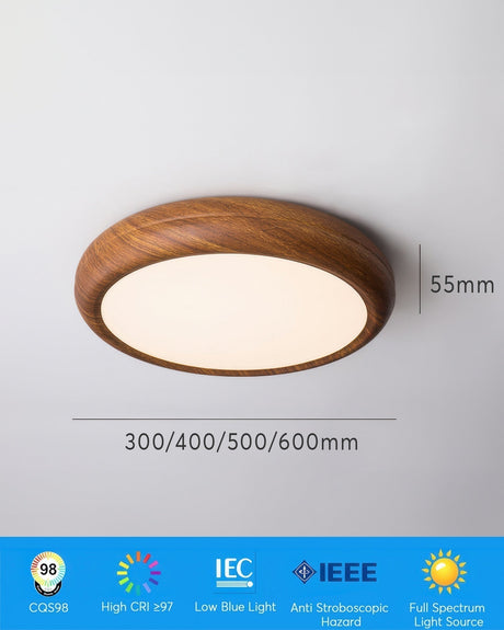 Nexa Ceiling Light Installed in Entryway