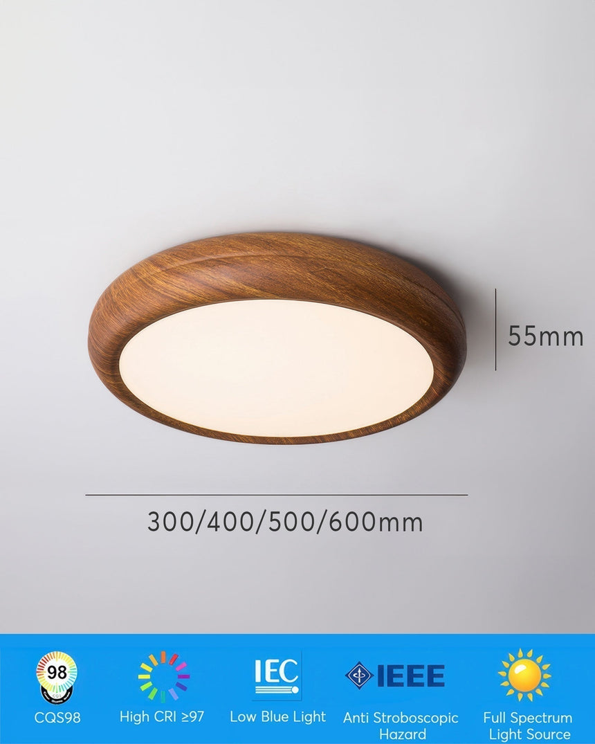 Nexa Ceiling Light Installed in Entryway