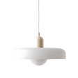 Halo Pendant Lamp modern glass and metal ceiling light - OpalDwell