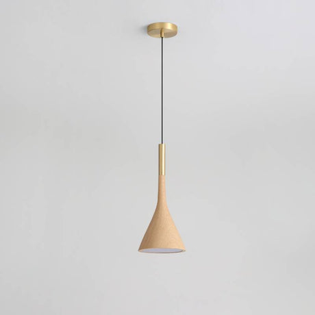 Pendant Light for Cozy Interiors