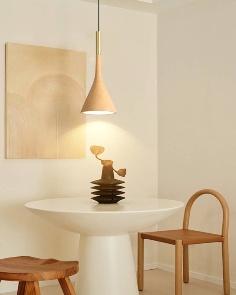 Pendant Light for Modern Spaces