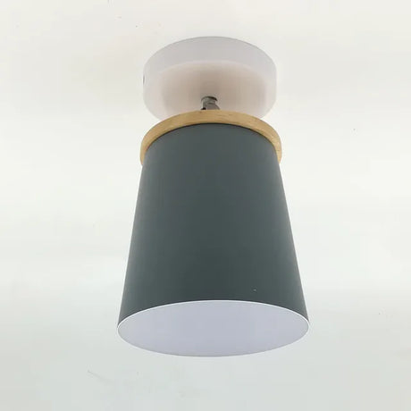 Playful Ceiling Light for Living Room