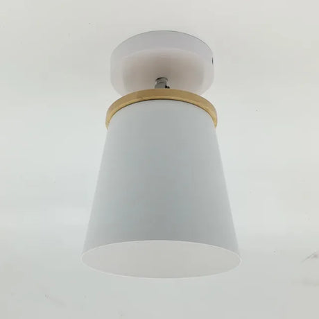 Aurelia Ceiling Light Package Contents
