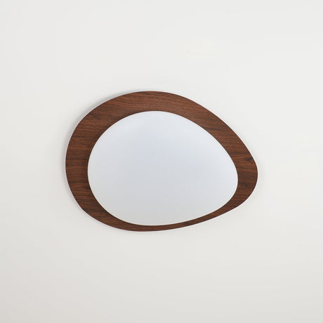LED Ceiling Light Home Decor
