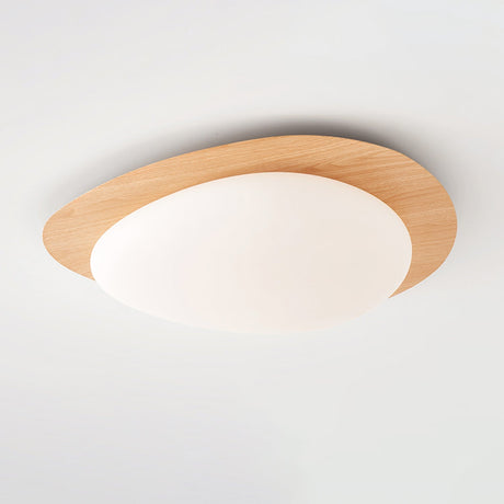 Ceiling Light Organic Pebble Design