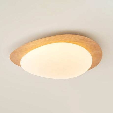 LED Ceiling Light Home Decor